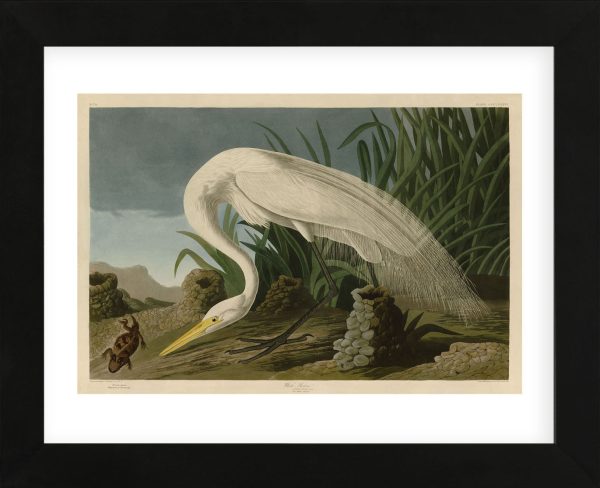 White Heron (Framed) For Sale
